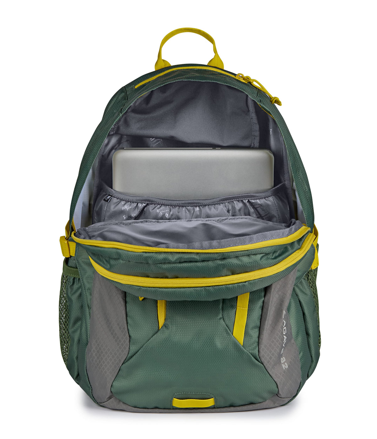 AGAVE